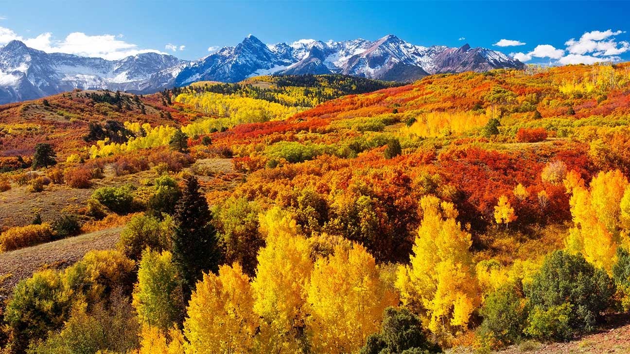 Firestone Colorado Landscape during the Fall with colorful trees