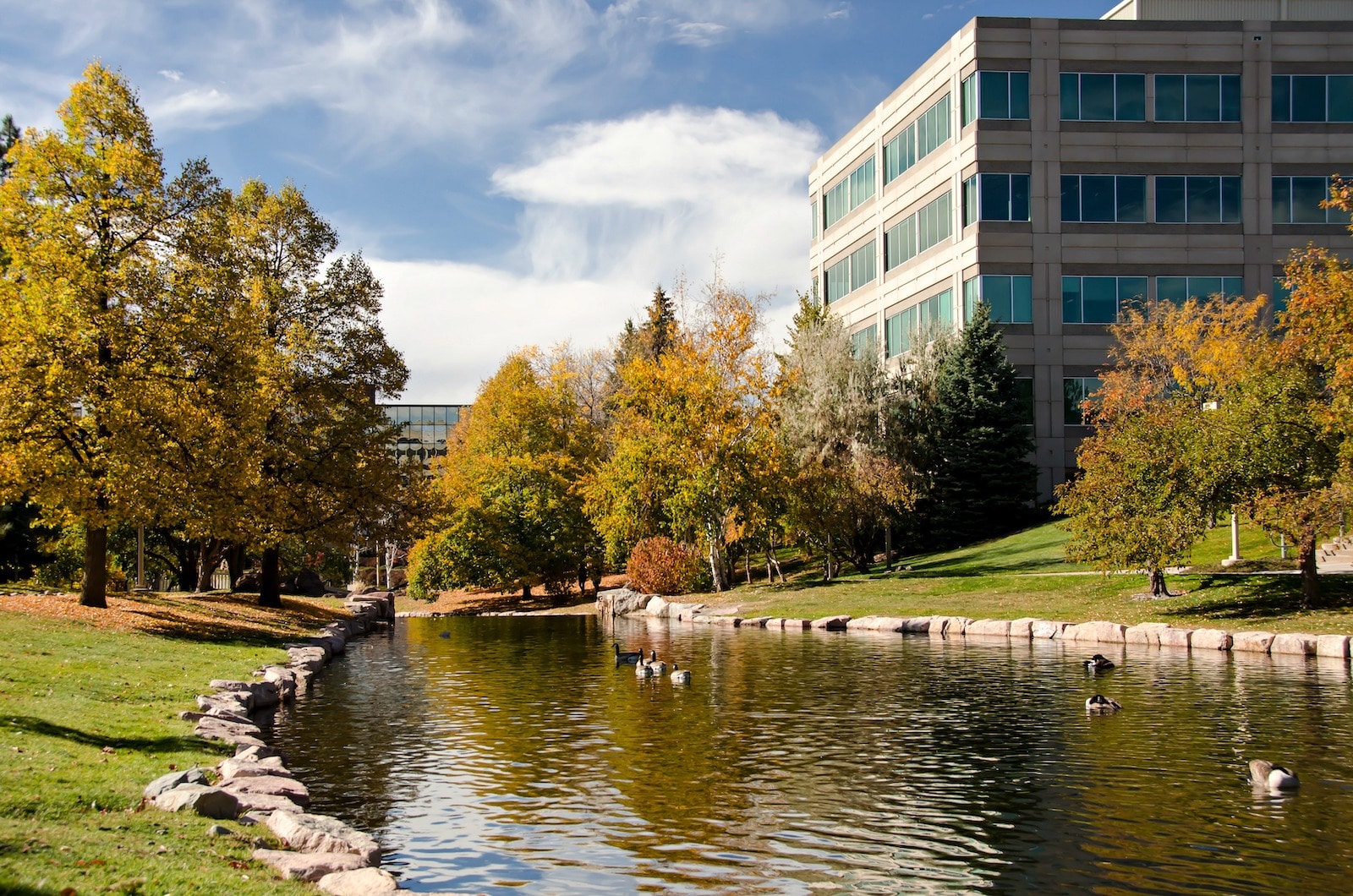 River in Centennial Colorado in the business district