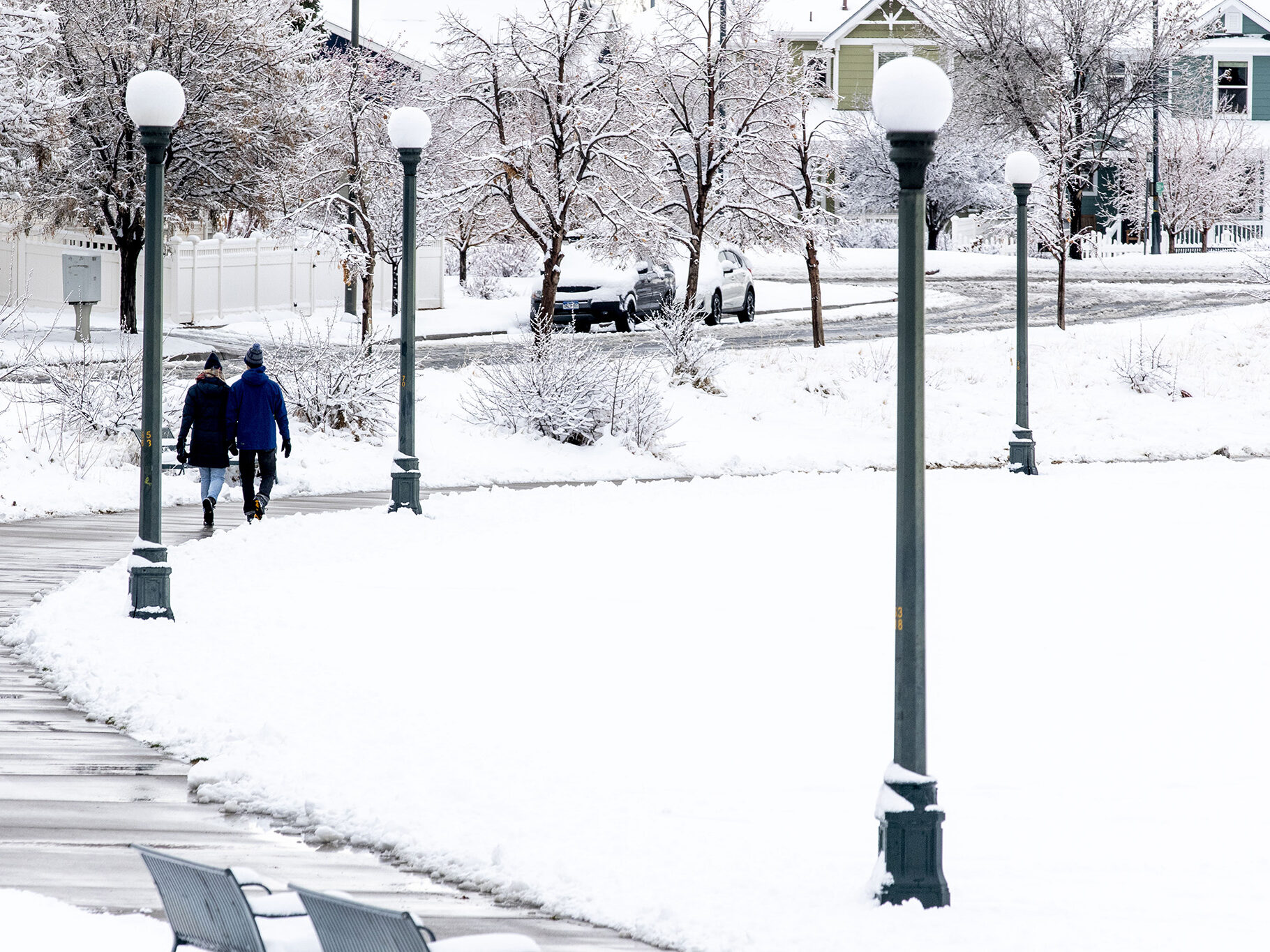 Snow in a park in Denver Colorado