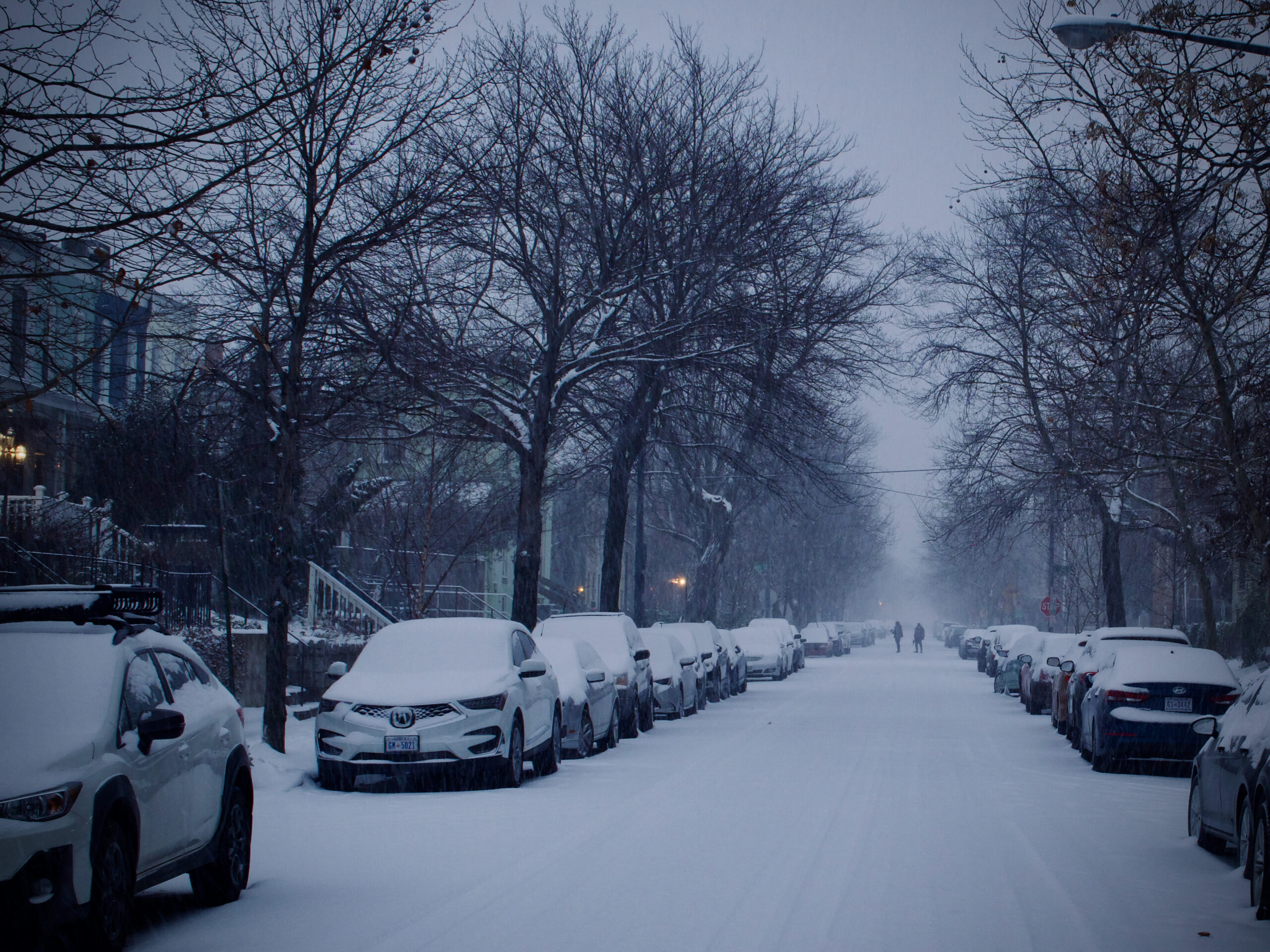 Snowstorm in Colorado